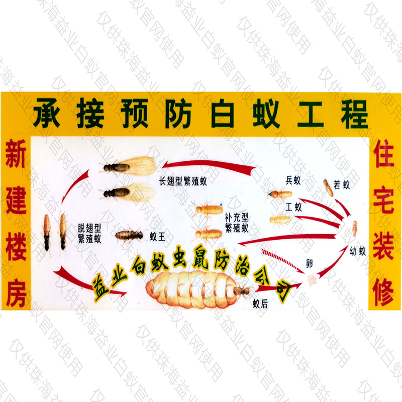 橫欄專業(yè)治理白蟻公司